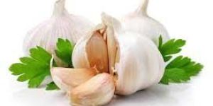 Fresh Garlic