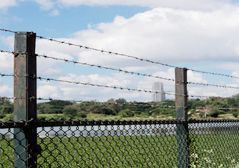 Barbed Wire