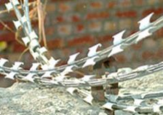 Rbt Wire