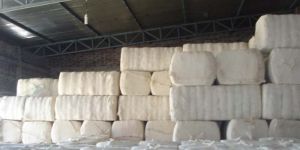 Raw Cotton Bales