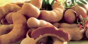Fresh Tamarind