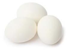 White Poultry Eggs
