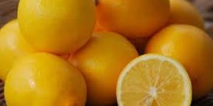 Yellow Lemon