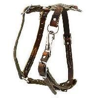 Leather Harness