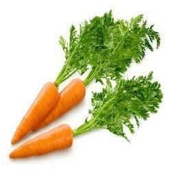 Fresh Carrot