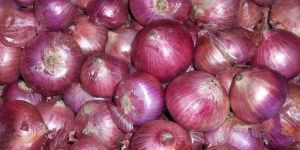 Red Onion