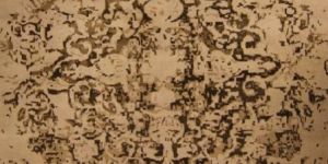 Hand Knotted Indo Nepali Carpet