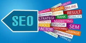 SEO Training Services