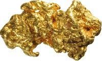 Gold Nuggets