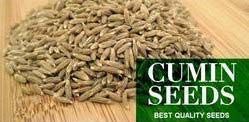 Cumin Seeds
