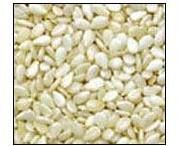 White Sesame Seeds