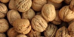Walnuts