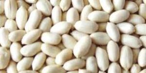 Blanched Peanut Kernels