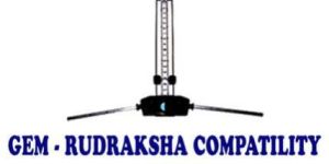 Aura and Chakra Scanning Service