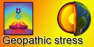 Geopathic Stress Consultant