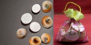 Gomti Chakra Energised & Programmed