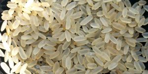 Single Boiled Rice