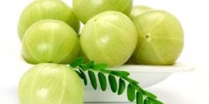 Fresh Gooseberry