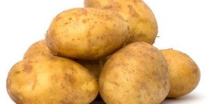 Fresh Potato