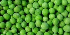 Fresh Green Peas