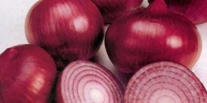 Fresh Red Onion