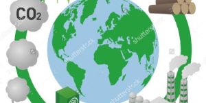 Agro- Commercial Farm Scale project