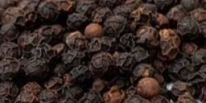 Black Pepper Seeds