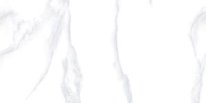 Twin Charge Series Vitrified Tiles