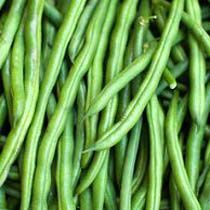 French Bean Seeds