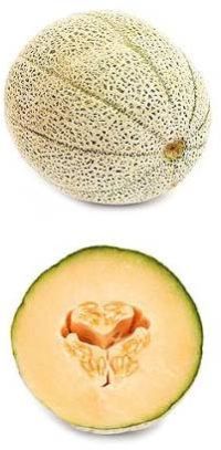 Hybrid Muskmelon Seeds