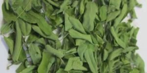 Abrus Precatorius Leaves