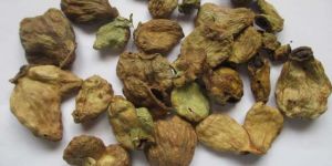 Dried Terminalia Chebula