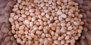 Cumin Seeds