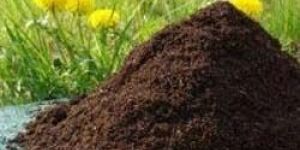 Biotic High Yield Organic Manure