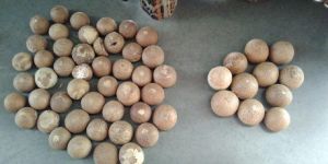 Areca Nut