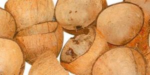 Coconut Shells