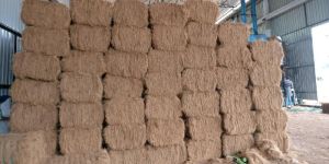 Coir Fiber