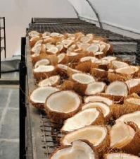 Coconut Dryers