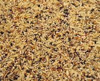 Bird Seed