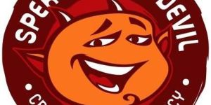 Web Designing Service