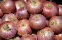 Rose Onions