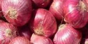 Red Onion