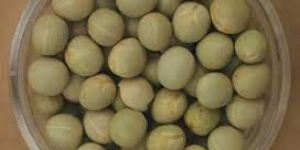 Canadian Green Peas