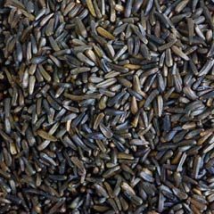 Niger Seeds