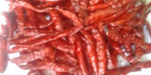 Stemless Red Chilli