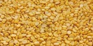 Moong Dal