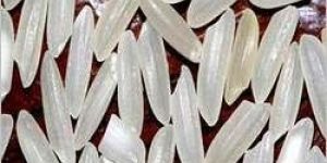 BPT Rice