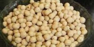 White Chickpeas