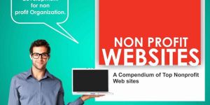Non Profit Web Development Services