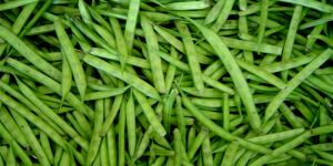 Fresh Guar Beans